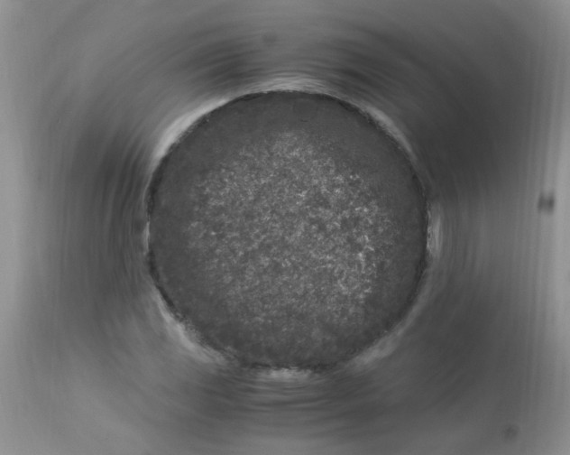X0000112901117200909181929