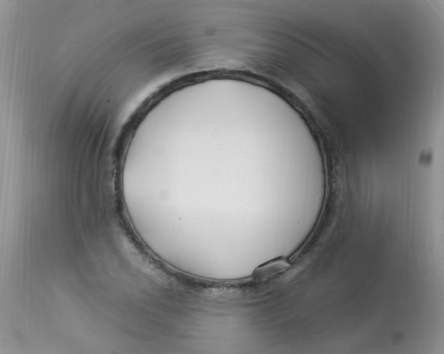 X0000112901118200909181929