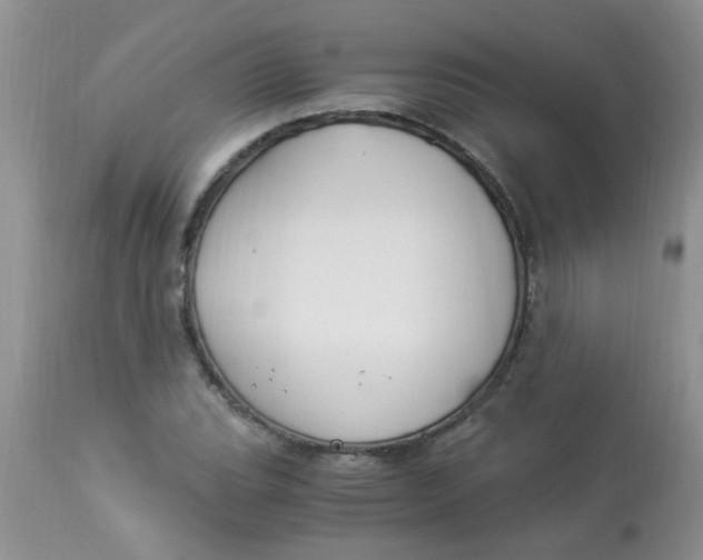 X0000112901119200909181929