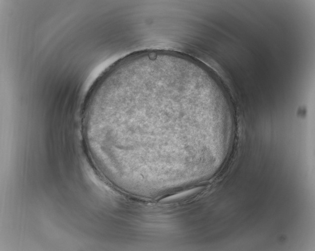 X0000112901120200909181929