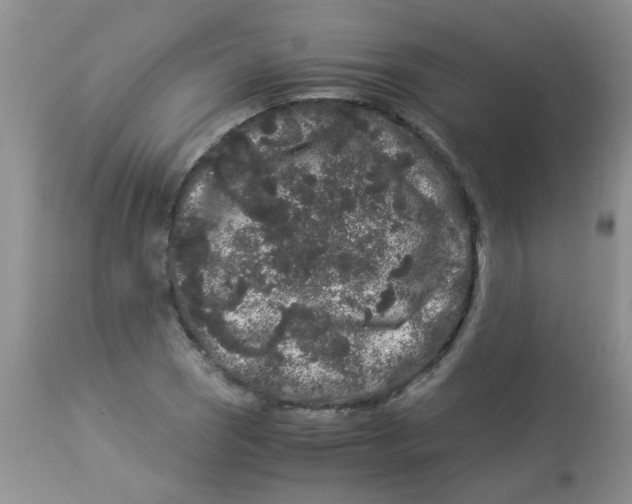 X0000112901121200909181929