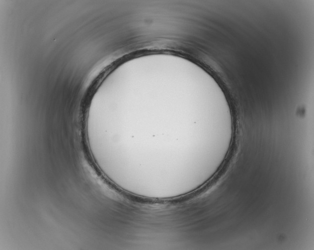 X0000112901122200909181929