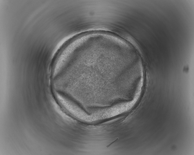 X0000112901124200909181929
