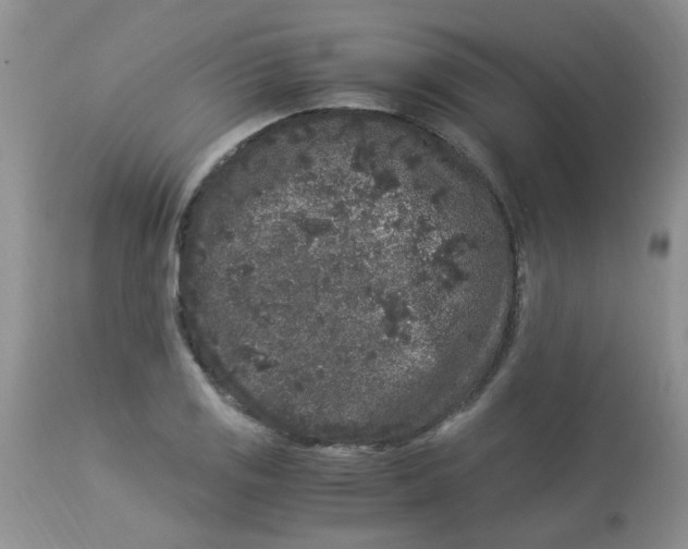 X0000112901125200909181929
