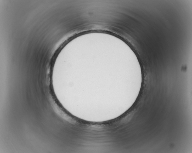 X0000112901126200909181929