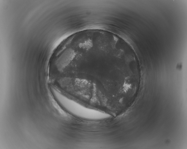 X0000112901127200909181929
