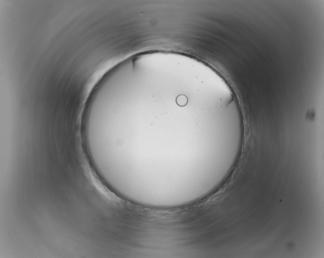 X0000112901128200909181929