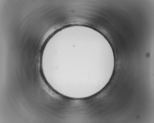X0000112901130200909181929