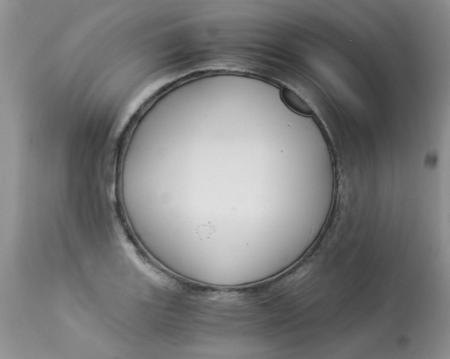X0000112901131200909181929