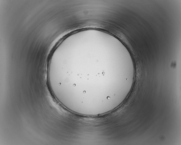 X0000112901132200909181929