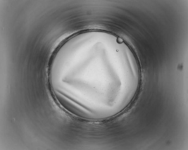 X0000112901133200909181930