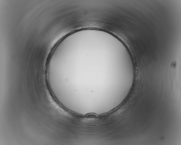 X0000112901135200909181930