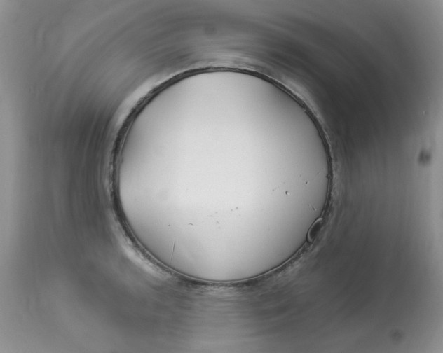 X0000112901136200909181930
