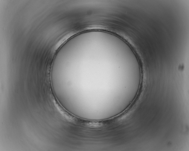 X0000112901137200909181930