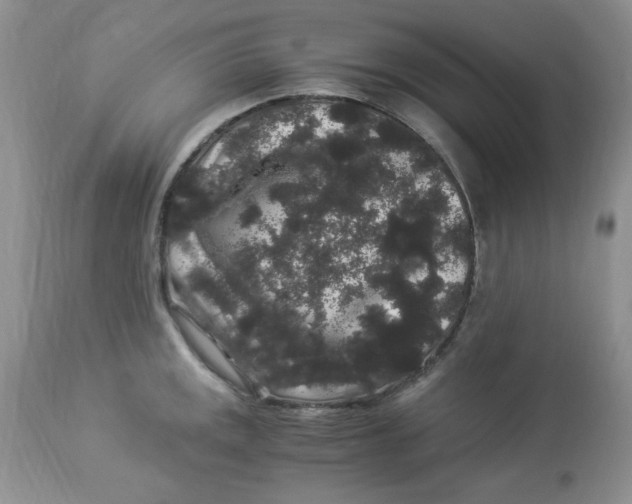 X0000112901141200909181930