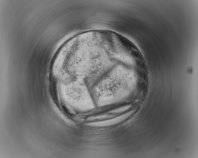 X0000112901142200909181930