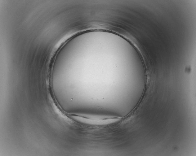 X0000112901143200909181930
