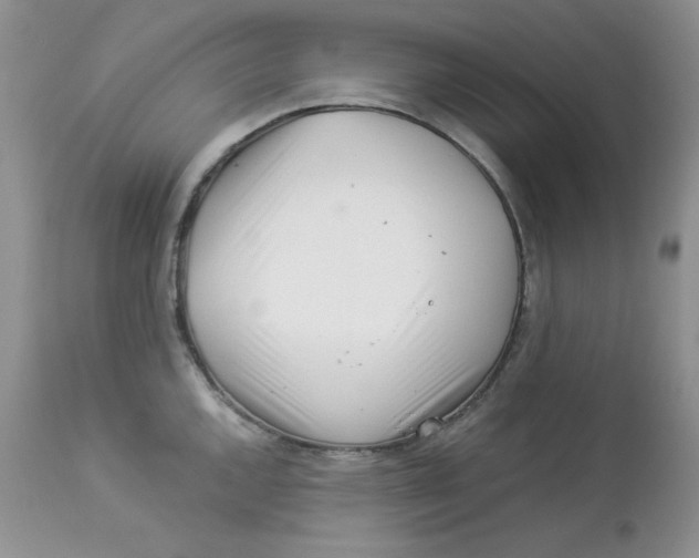X0000112901144200909181930