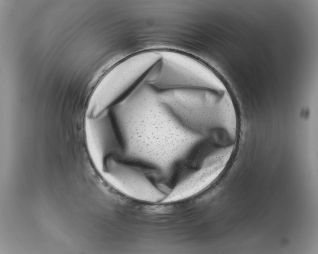 X0000112901145200909181930