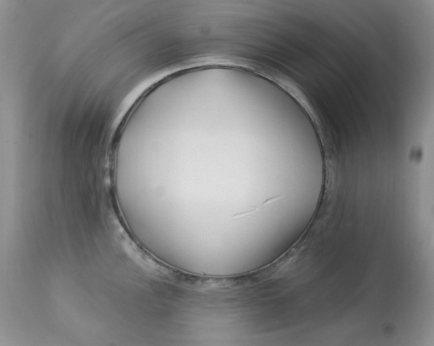 X0000112901148200909181930