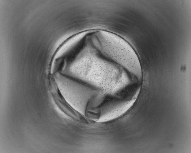 X0000112901151200909181930