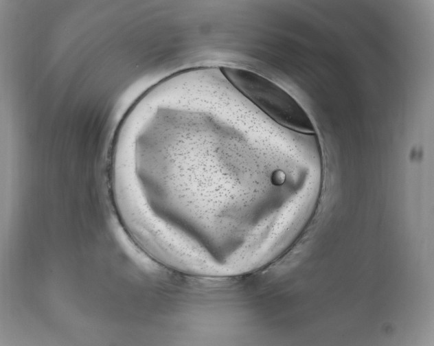 X0000112901152200909181930