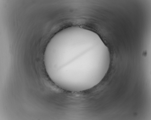 X0000112901153200909181929