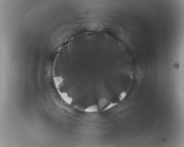 X0000112901154200909181929