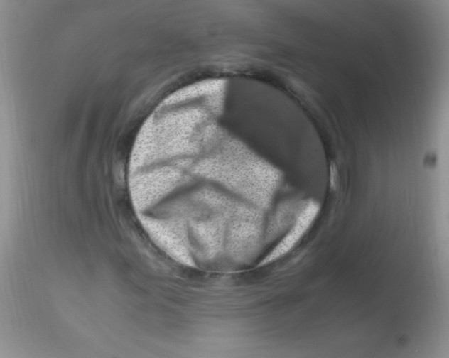 X0000112901155200909181929