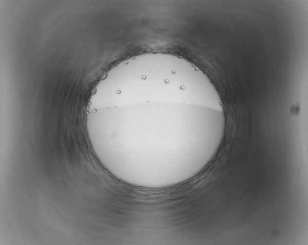 X0000112901156200909181929