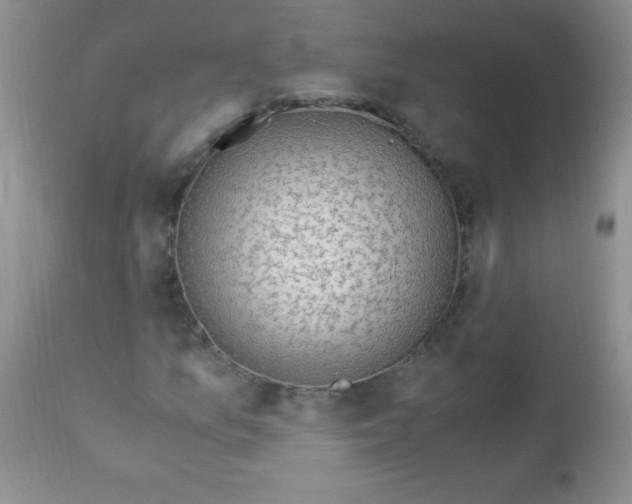 X0000112901157200909181929