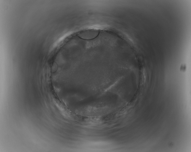 X0000112901158200909181929