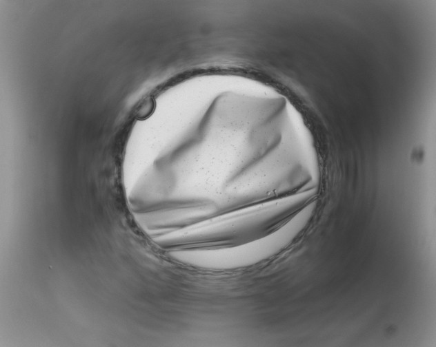 X0000112901160200909181929