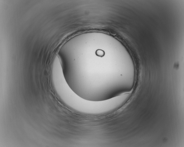 X0000112901161200909181929