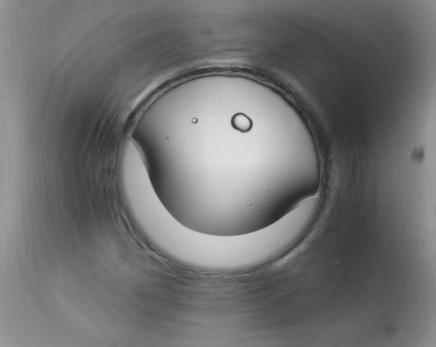 X0000112901162200909181929