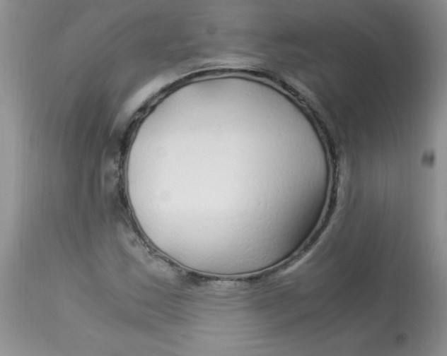 X0000112901163200909181929