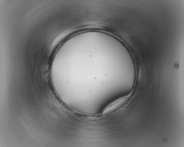 X0000112901164200909181929
