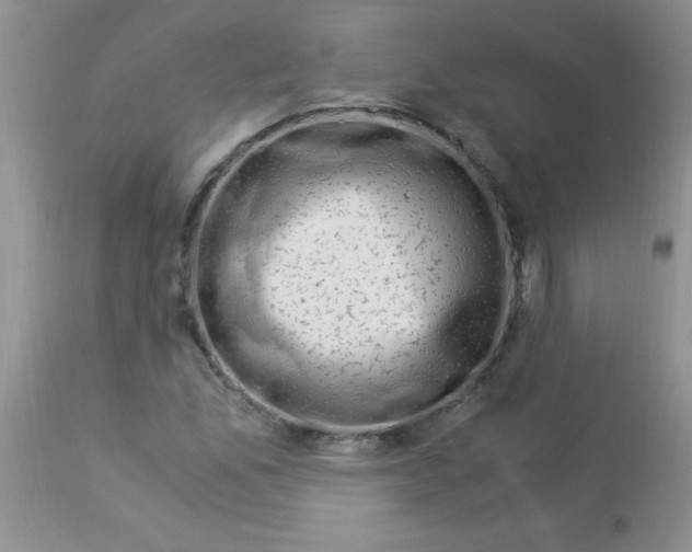 X0000112901165200909181929