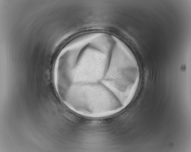 X0000112901166200909181929
