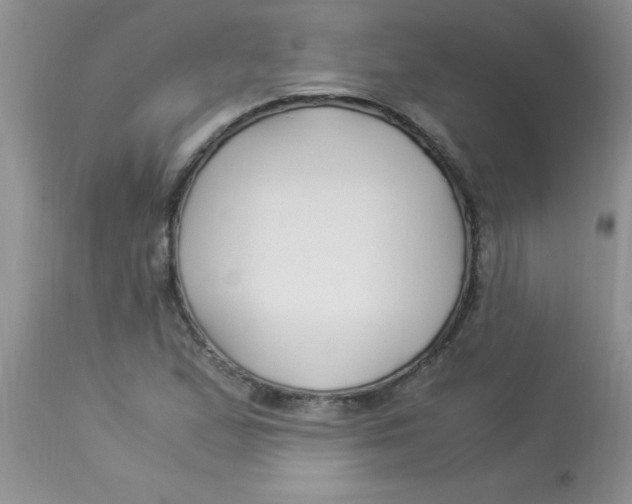 X0000112901167200909181929