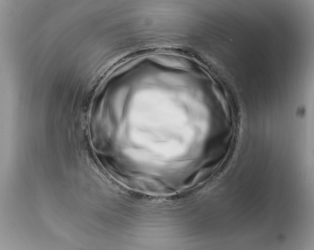X0000112901169200909181929