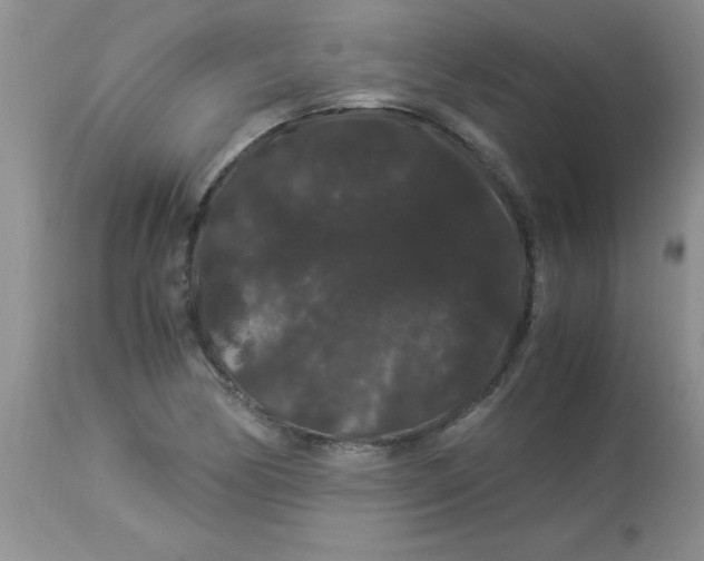 X0000112901170200909181929