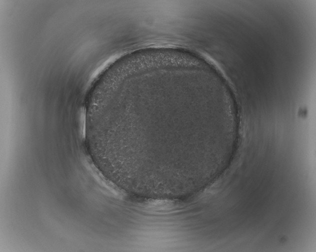 X0000112901171200909181929