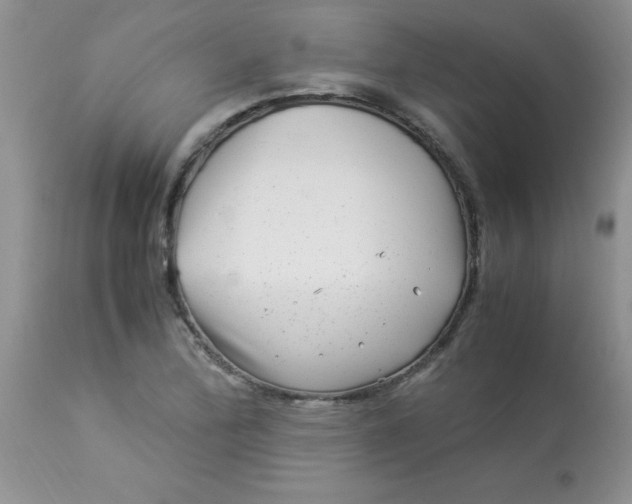 X0000112901172200909181929