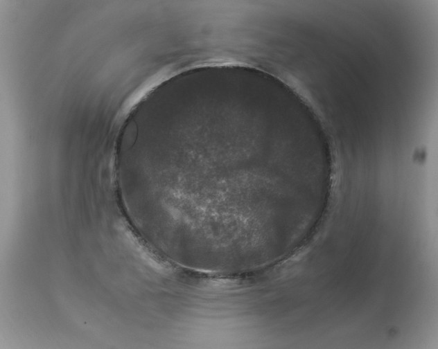 X0000112901173200909181928