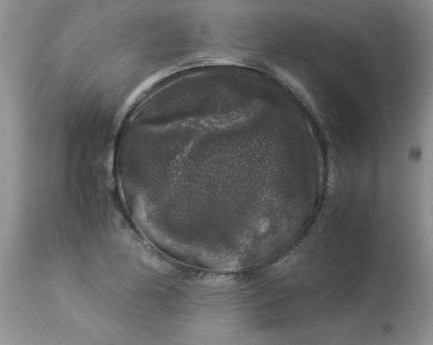 X0000112901174200909181928