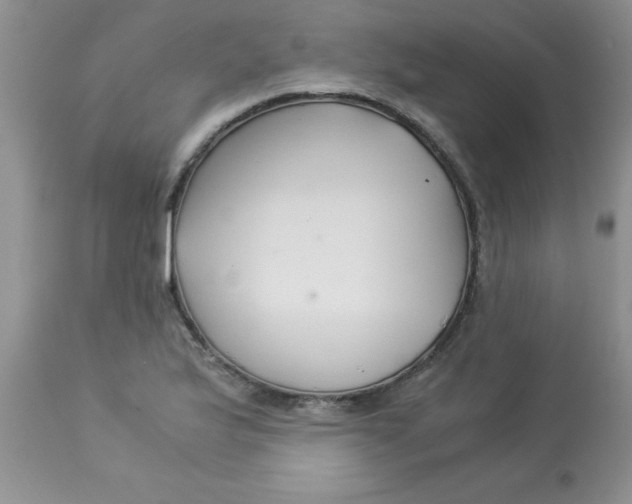 X0000112901175200909181928