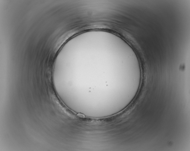 X0000112901177200909181928