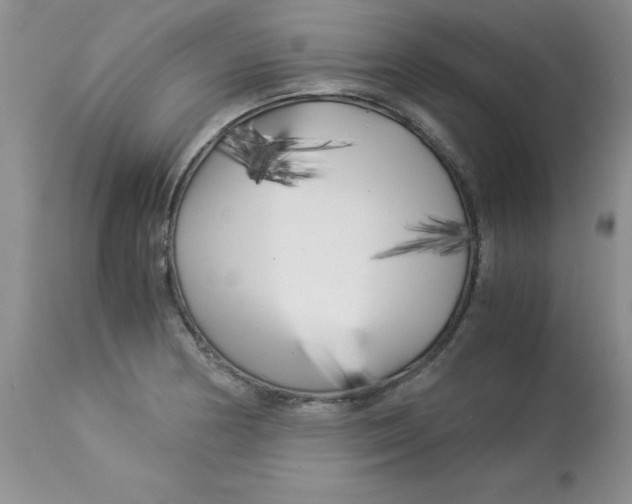X0000112901178200909181928