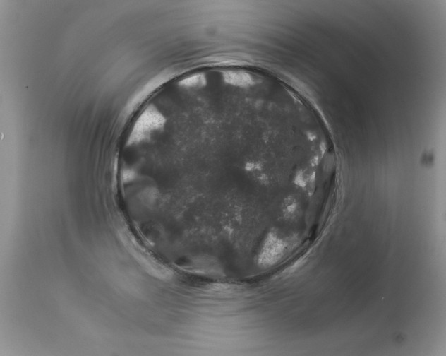 X0000112901179200909181928